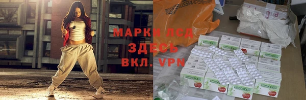 сатива Абинск