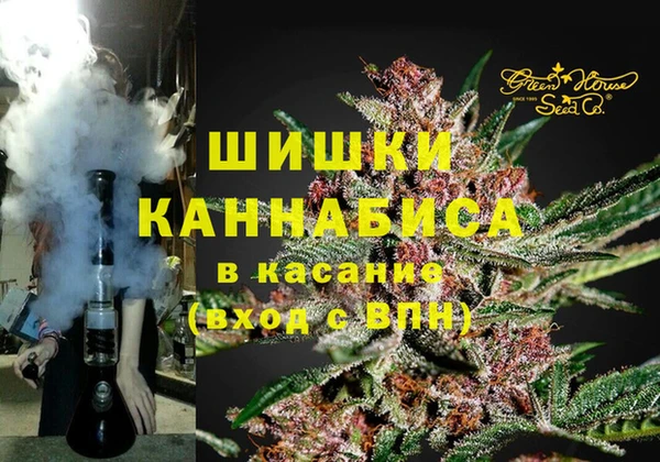 сатива Абинск