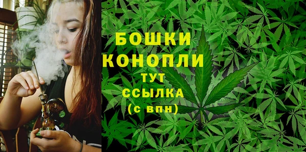 сатива Абинск